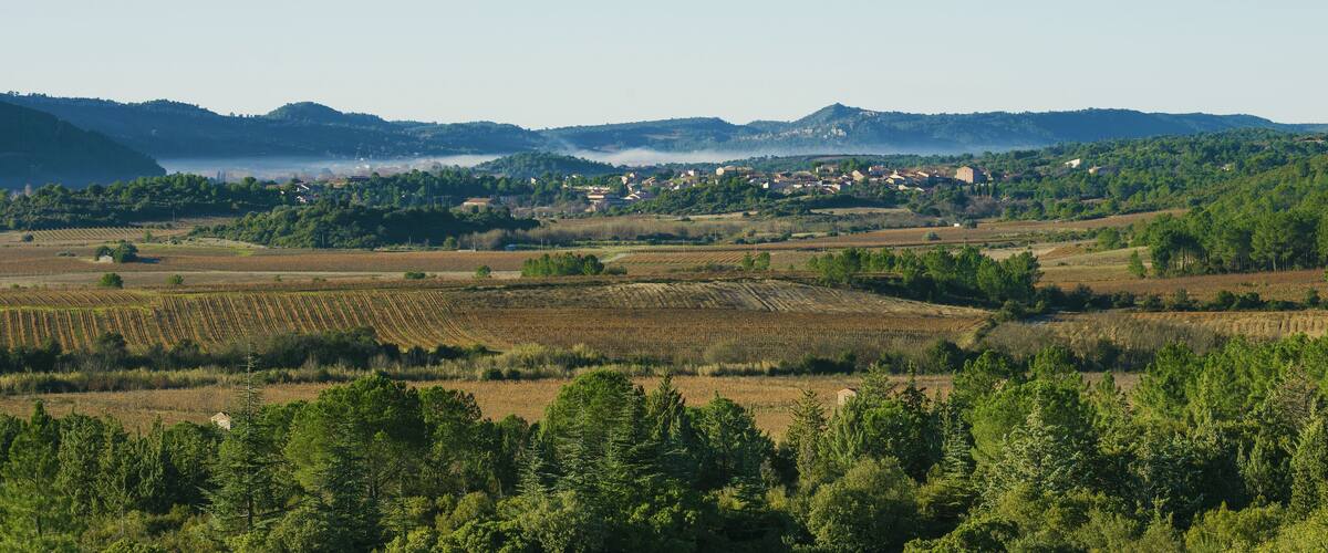 A rural landscape with fields, trees, and a village in the distance.