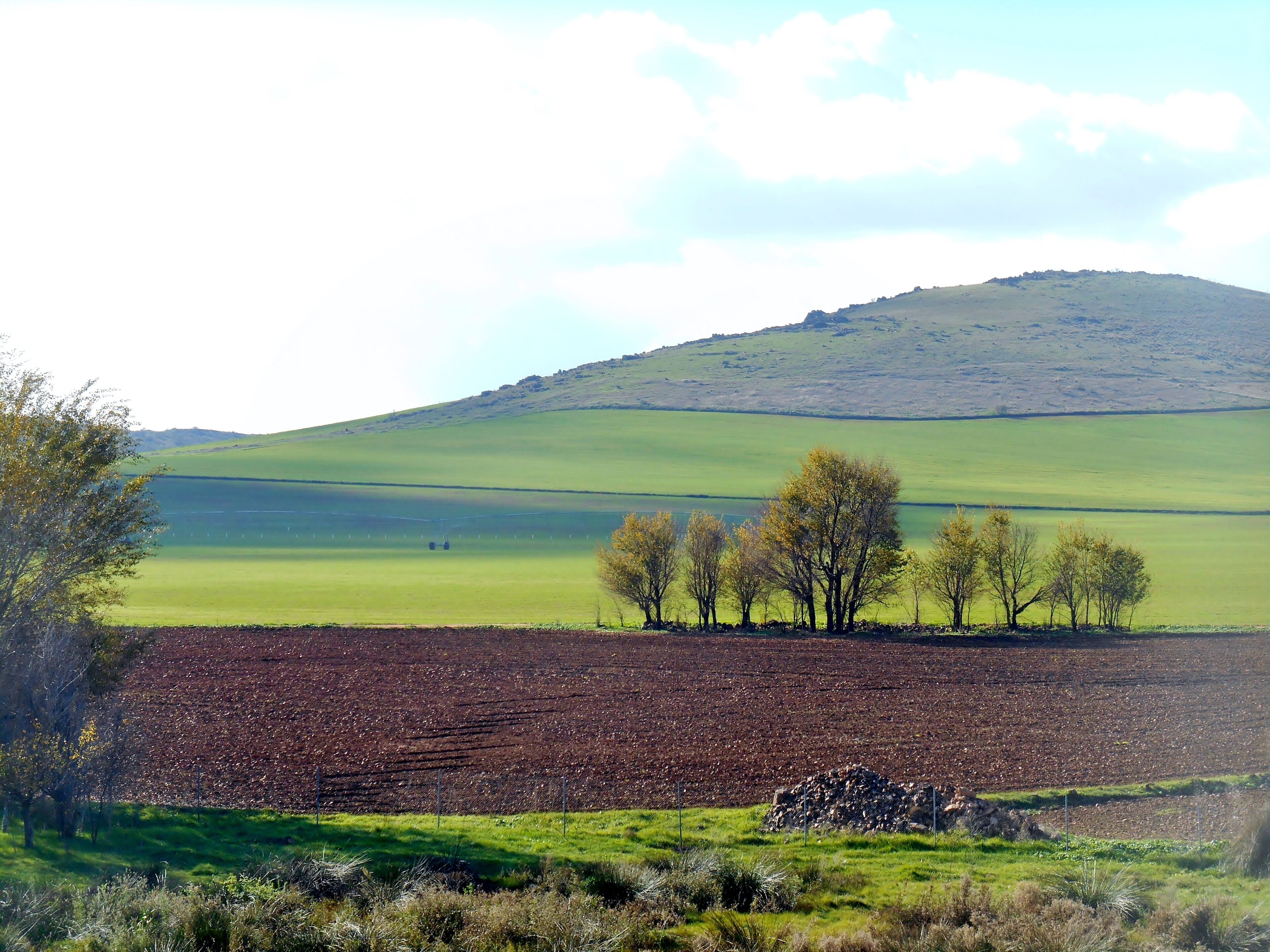 Yacimiento arqueológico de Oreto y Zuqueca.