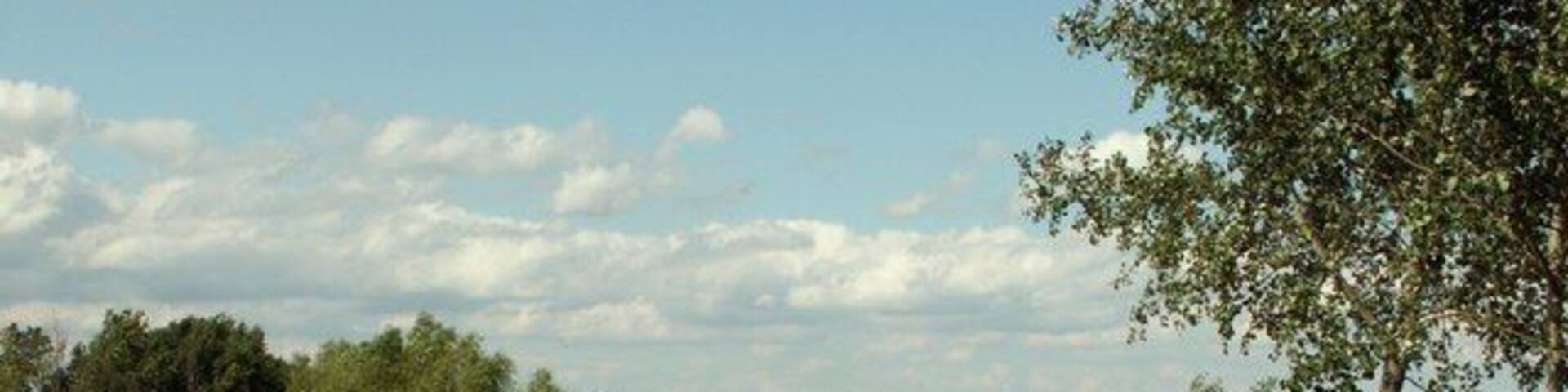 Part of the course at Lakeside Lodge Golf Centre This golf course has 8 lakes and over 15000 trees. The wind farm near Warboys can be seen in the far distance.