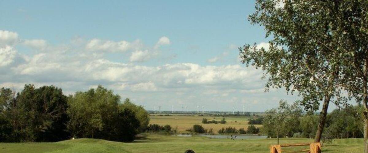 A rural landscape with a dirt path, grassy fields, a pond, and a distant wind farm.