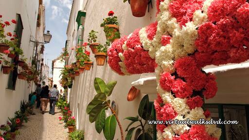 #Colorful Cross and Alley in celebration of Cruses De Mayo
The Festival of the May Crosses (Crosses of May) is Celebrated THROUGHOUT though it is in Andalucia Cordoba and Granada Where The most impressive displays are on show. If you have to choose one Then go to Cordoba. The festival Consists of the construction of large crosses made of beautiful flowers in many of the city's main squares. In the true spirit of Spanish fiestas temporary bar is built in the same square as the cross. This is where the locals congregate each evening for a good few drinks and tapas Inevitably Which leads to spontaneous style Flamenco dancing into the early hours. The celebration Takes Place During the first few days of May With the first weekend tending to be the busiest When visitors arrive from all over Spain to join in the party. Which are the current crosses around three meters high are made by the people of the Neighbourhood and Local the town council runs a competition to find the best cross (Contest of May Crosses). In Cordoba alone there are some eighty crosses to choose from.
#Festival
TO SEE ALL OF OUR TRAVEL FILMS:
AMAZON: http://bit.ly/amazoncom_ambient
WEBSITE: https://www.naturedvds.com
VIDEO DOWNLOADS: https://vimeo.com/relaxingnaturevideos
YOUTUBE: http://bit.ly/TheAmbientCollections
VIRTUAL TOUR: http://www.virtualwalksdvd.com