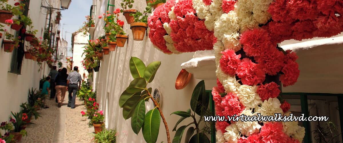 A narrow street lined with white buildings, potted plants, and hanging flower arrangements.