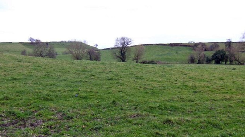 Hills and pasture The landscape of South Somerset near Merriott. The hill at the back to the left is West Chinnock Hill.