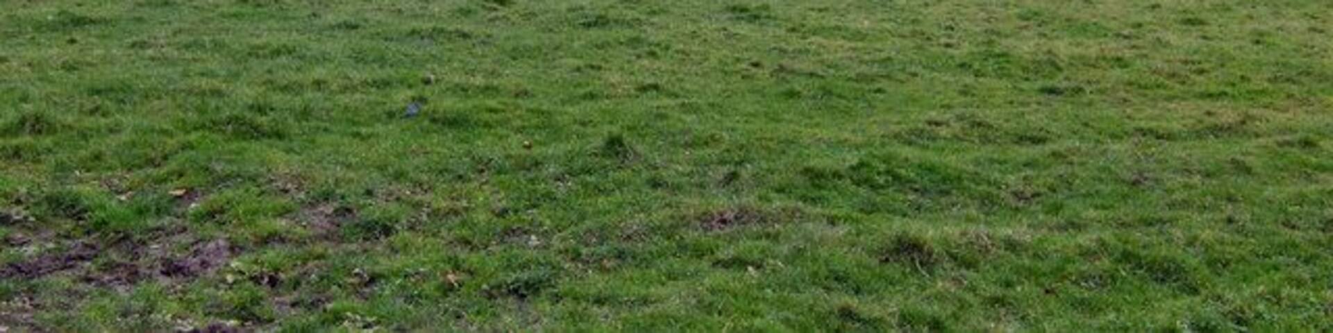 Hills and pasture The landscape of South Somerset near Merriott. The hill at the back to the left is West Chinnock Hill.