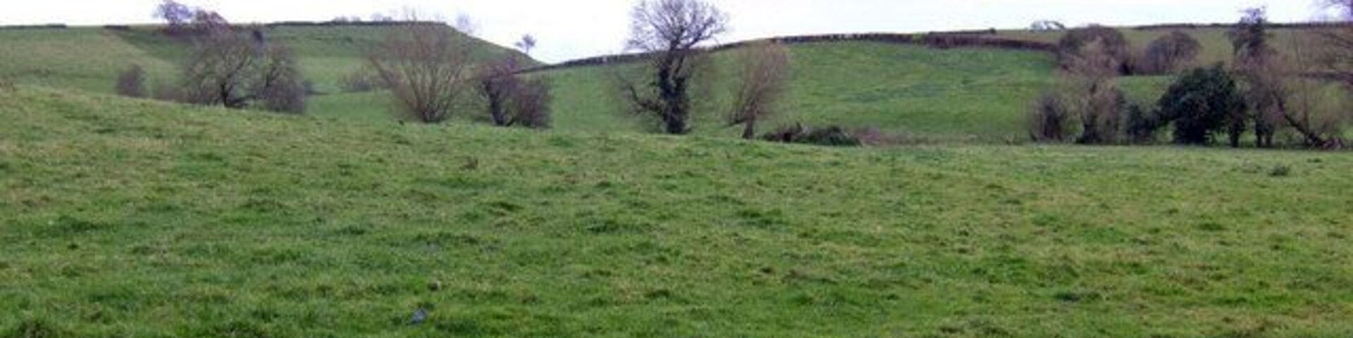 Hills and pasture The landscape of South Somerset near Merriott. The hill at the back to the left is West Chinnock Hill.