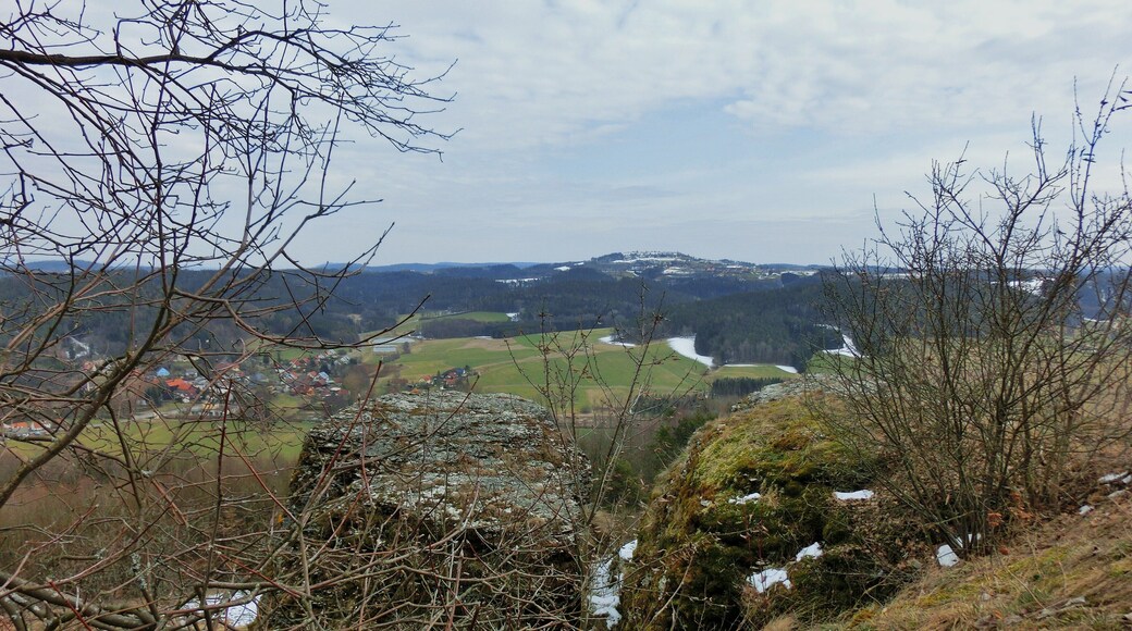 Neubürg vom Wachstein