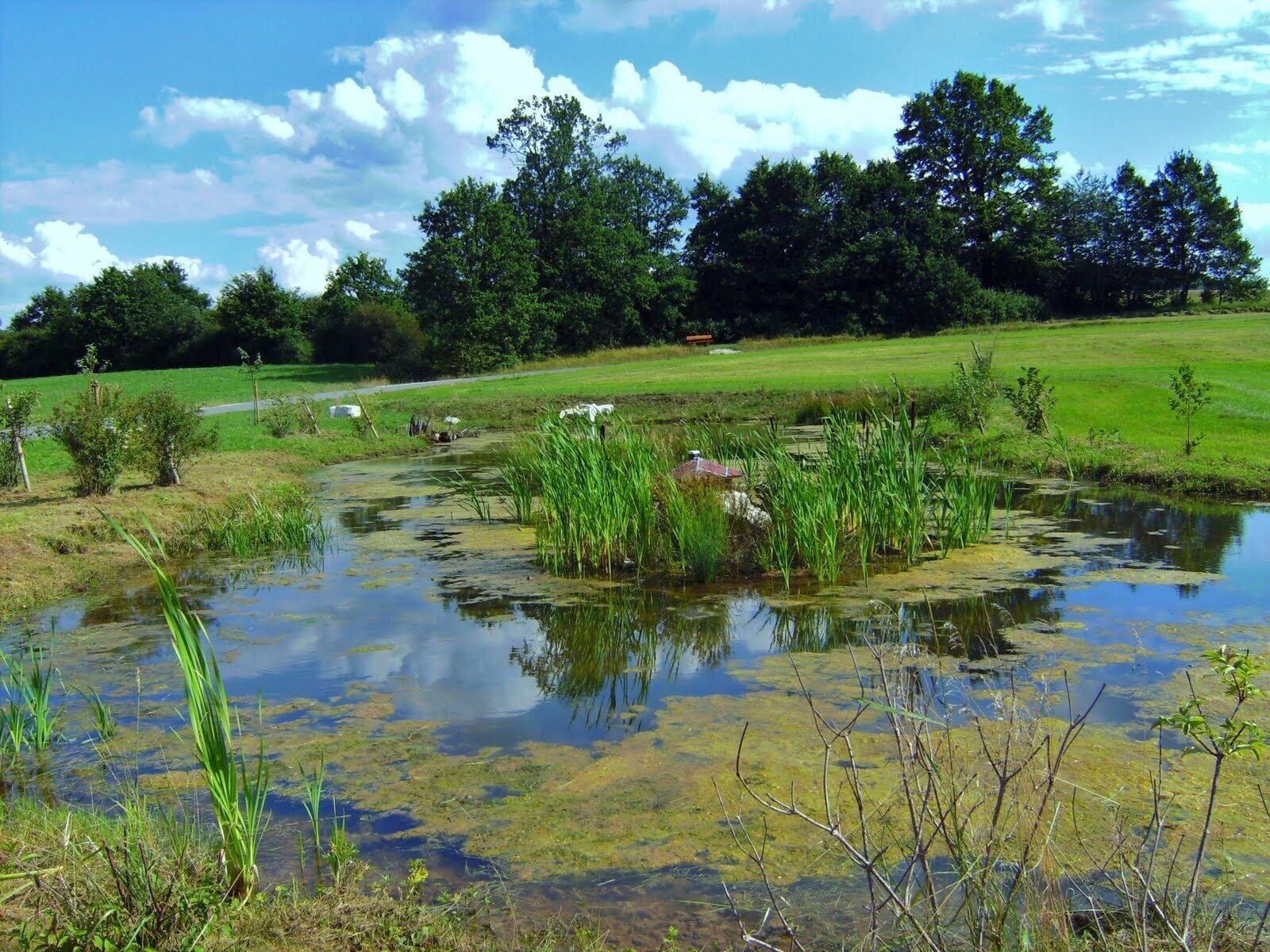 Am Dr.-Beckstein-Weg