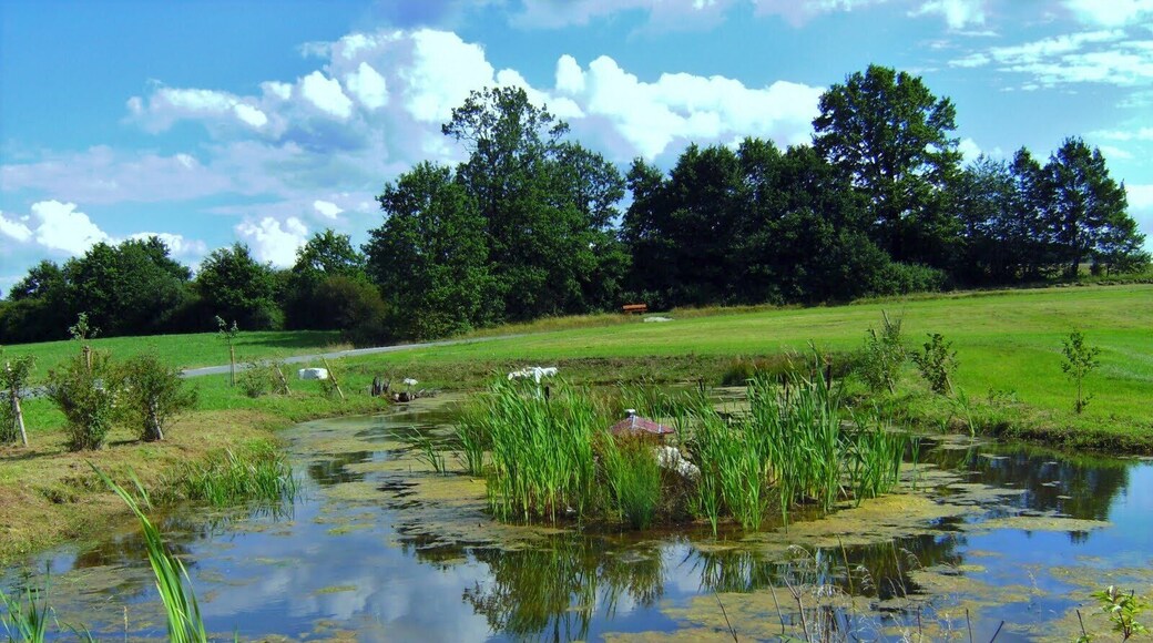 Am Dr.-Beckstein-Weg