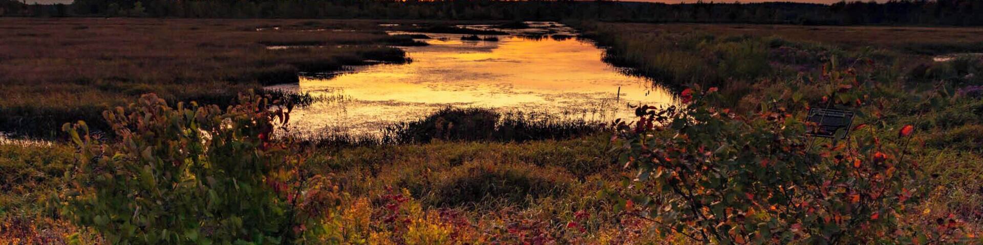 As we got close to Canada the Sun went down right over this beautiful NWR. On both sides of the road were pretty lowlands, and due to the crazy summer flowers were still blooming instead of fall color starting.