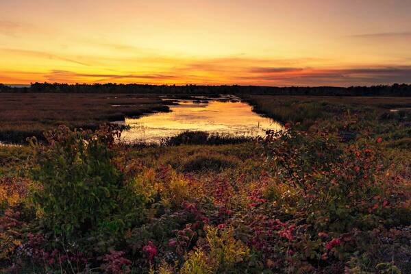 As we got close to Canada the Sun went down right over this beautiful NWR. On both sides of the road were pretty lowlands, and due to the crazy summer flowers were still blooming instead of fall color starting.