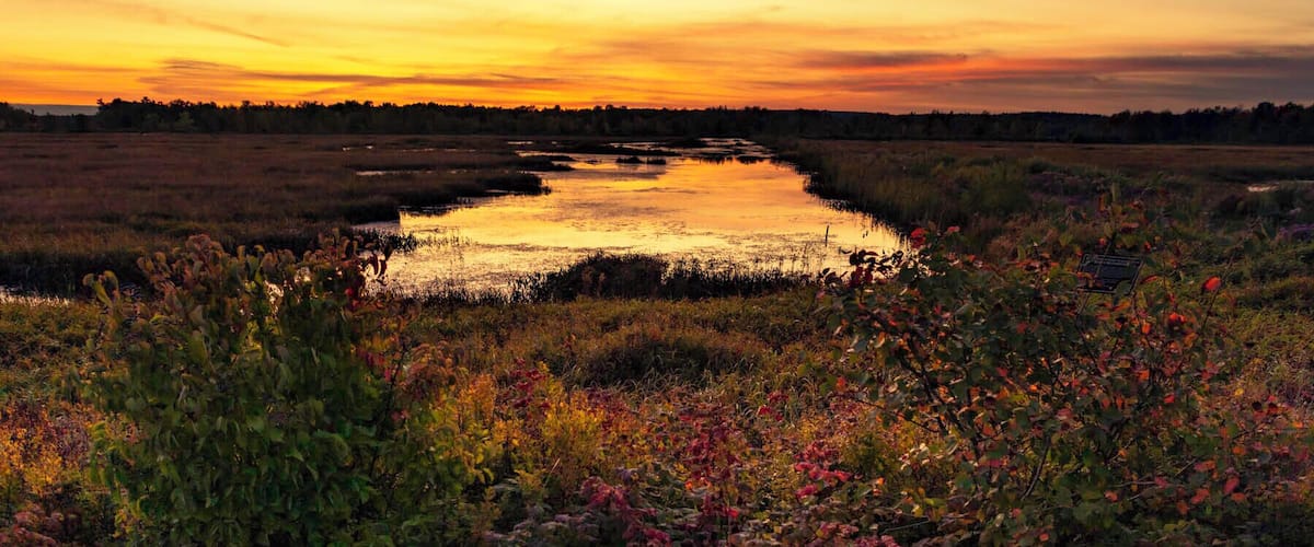 As we got close to Canada the Sun went down right over this beautiful NWR. On both sides of the road were pretty lowlands, and due to the crazy summer flowers were still blooming instead of fall color starting.