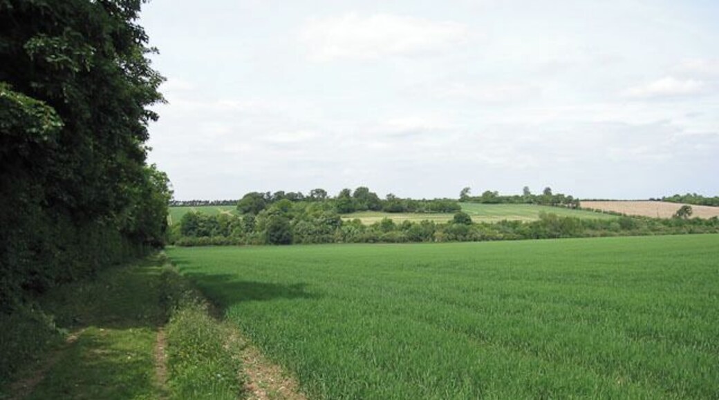 Footpath towards the railway Good path, but doesn't really go anywhere.