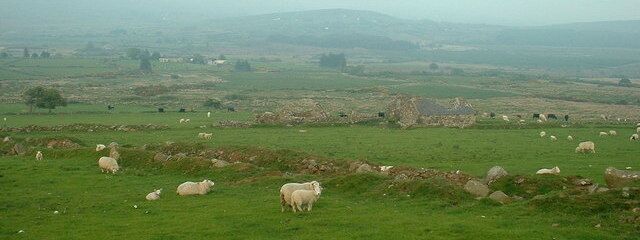 Cae-mwynen. This is the derelict farm in the right centre.