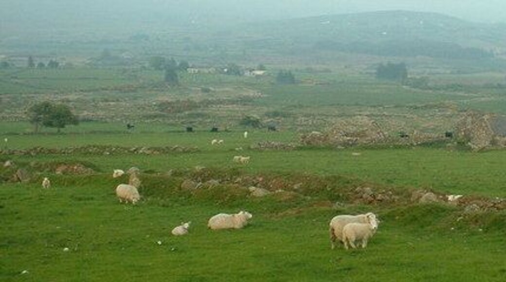 Cae-mwynen. This is the derelict farm in the right centre.