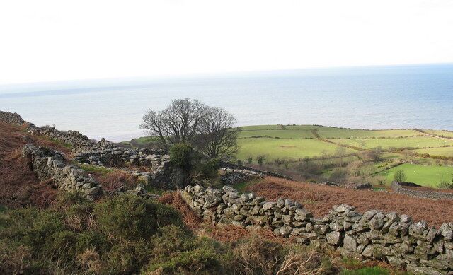 Contrasting land use - bracken-infested hill land and improved lowland pasture