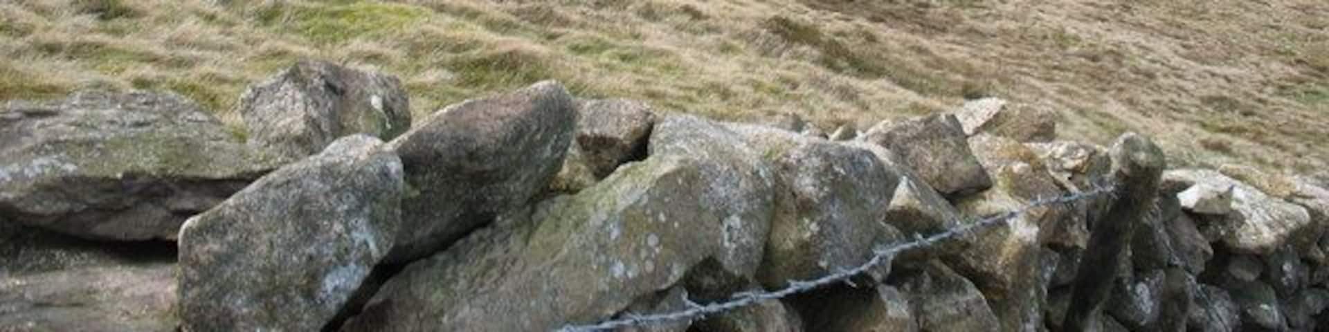 The western slope of Gyrn Goch The rough pasture of the large mountainside ffriths contrasts with the green of the tiny fields of the littoral strip.