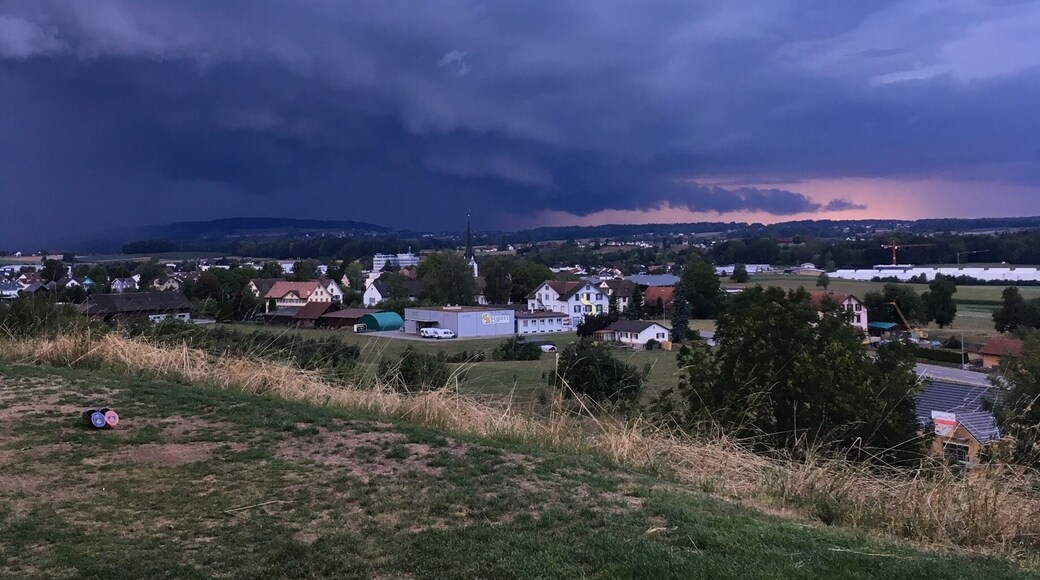 Beautiful scenery not far from the Golfclub Erlen...while waiting for the rain to come :)
The view of Erlen, Weinfelden District, in the canton of Thurgau, Switzerland
