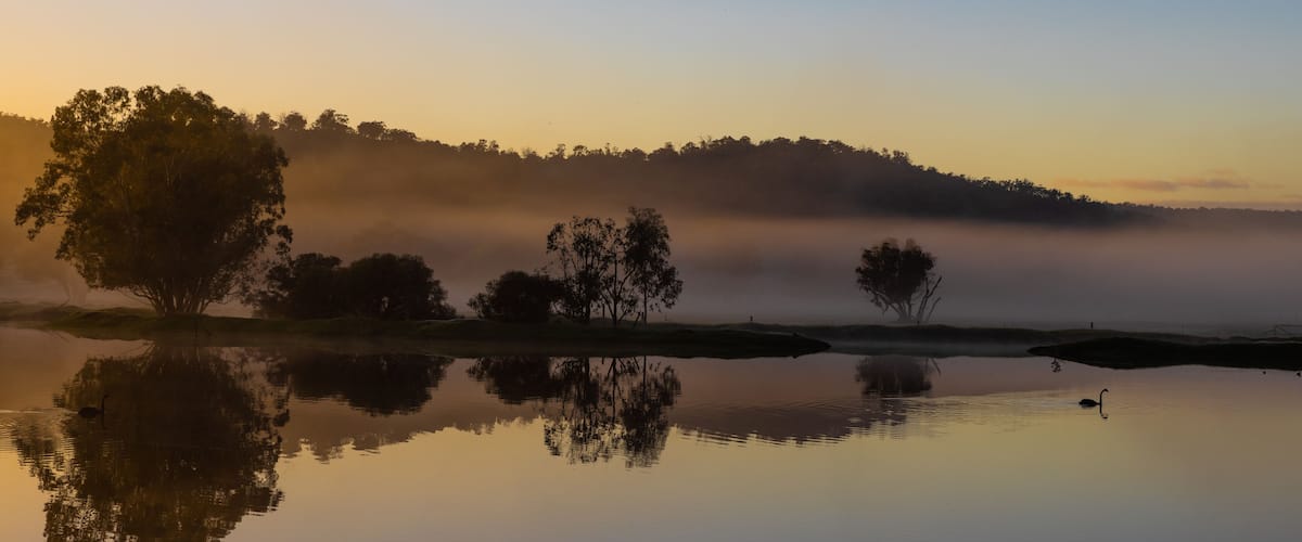 A calm lake with reflections of trees and a bird, surrounded by mist and a forested hill.