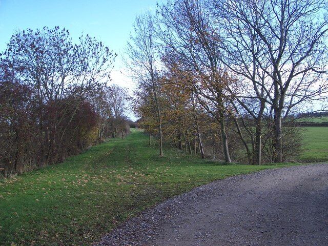 Dismantled Railway Track near Newton Blossomville Ahead is the track of the former Midland Railway that ran between Bedford & Northampton. It was opened on 10 June 1872 and the last steam train ran on 3 March 1962. The Ouse Valley Walk crosses at this point and the track behind the camera has been converted to provide farm access.