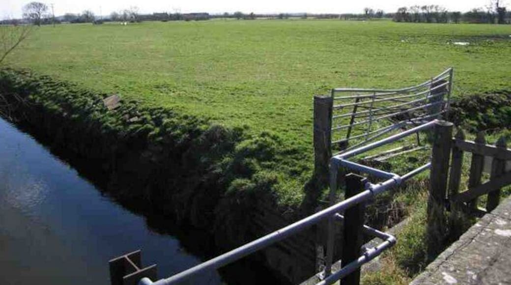 Fields near Lower Godney. Geograph taken looking SW across the levels towards Meare from Fm in Lower Godney