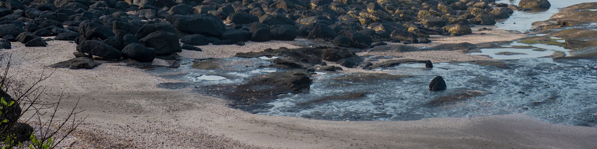 Savane Beach, Raigad, Maharashtra, India