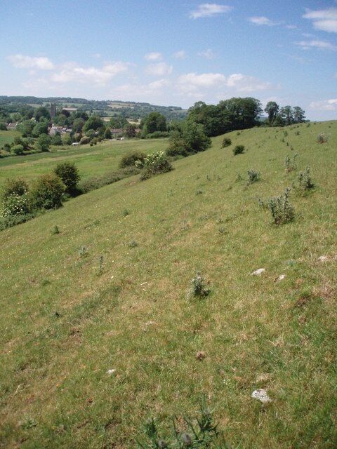 Chew Down. This photograph shows the steep southerly flank of Chew Down. The village in the background is Chewton Mendip and the white patches in the foreground are where the bedrock, limestone, is exposed.