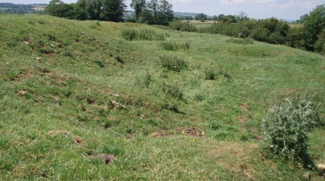 Uneven ground on Chew Down. Chew down is a ridge of limestone which runs east-west from the north of Chewton Mendip. The uneven ground is a result of chemical weathering of the limestone. It reaches 177m high.