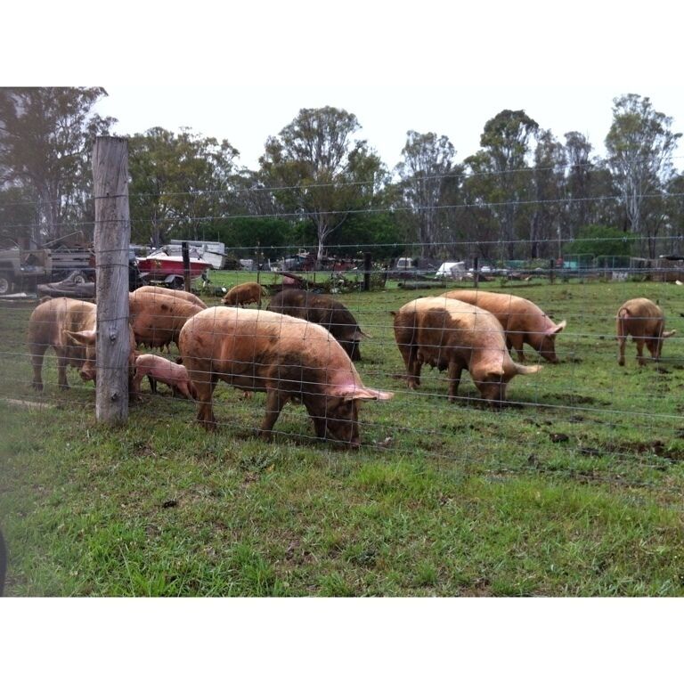 Meet the neighbours !!