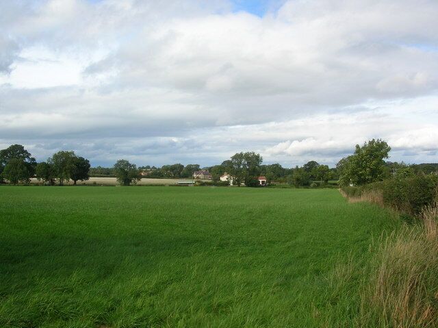 Opposite Grange Farm. Looking towards Brearton.