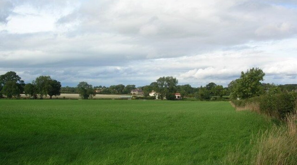 Opposite Grange Farm. Looking towards Brearton.
