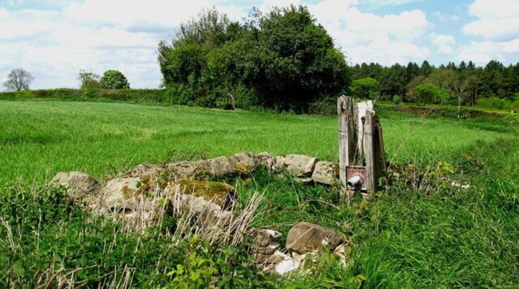 Brearton Pump Near Brearton Gate on High Moor Lane.