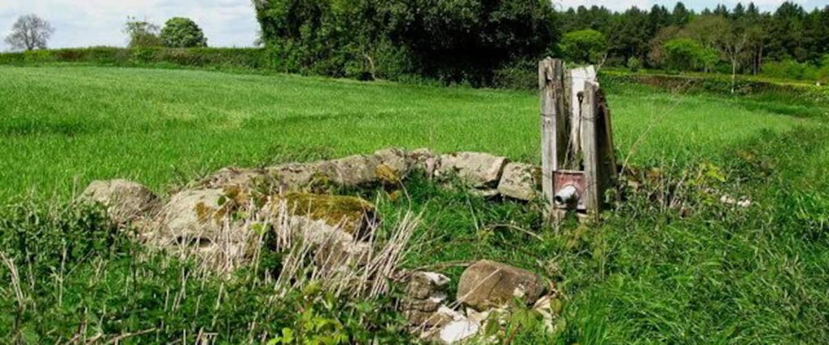 A grassy field with a wooden post and a stone structure.