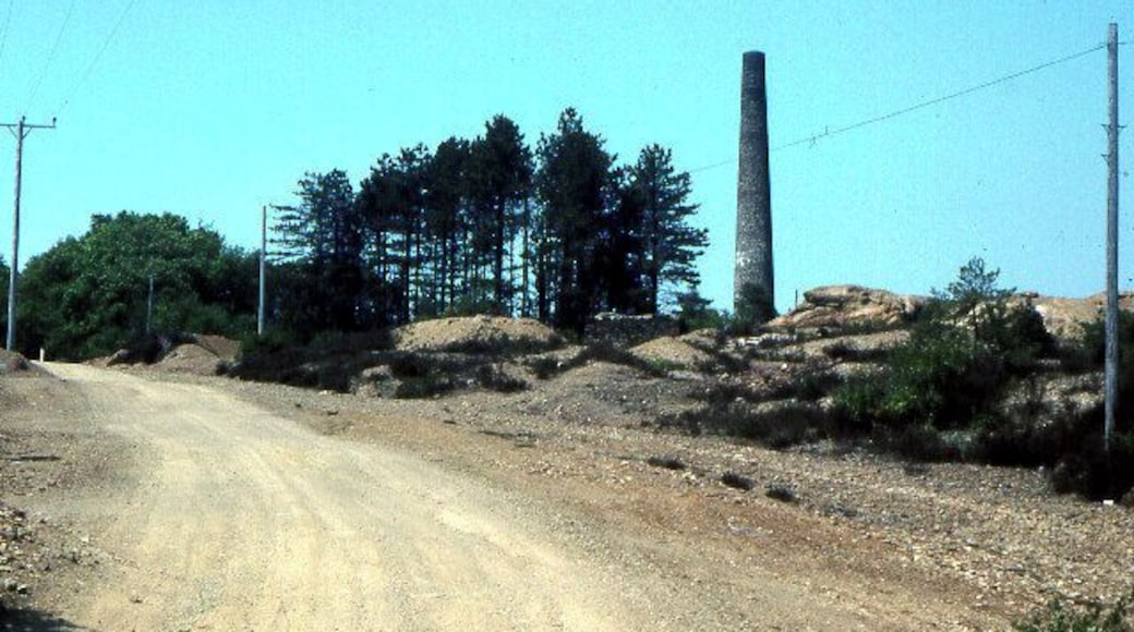 Former Devon Gt Consols mine 1978. Photograph taken of the chimney stack marked on OS maps and probably the location of former Wheal Anna Maria at Devon Gt Consols Mine, Blanchdown Wood near Gunnislake. The chimney was probably part of an arsenic flue, hence the lack of vegetation in 1976.