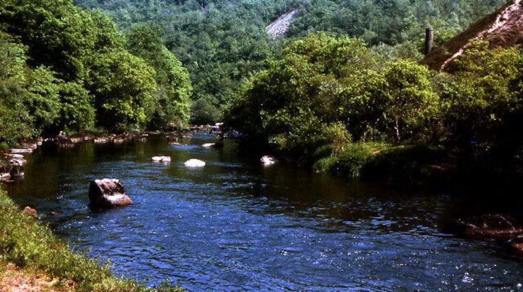 River Tamar, Clitters Wood, Gunnislake 1978. View from Devon bank downstream. Spoil tips, tailings and chimney are former Gunnislake Clitters copper mine.