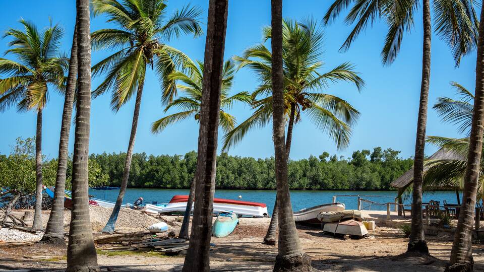A beach with palm trees, boats, and a lake.