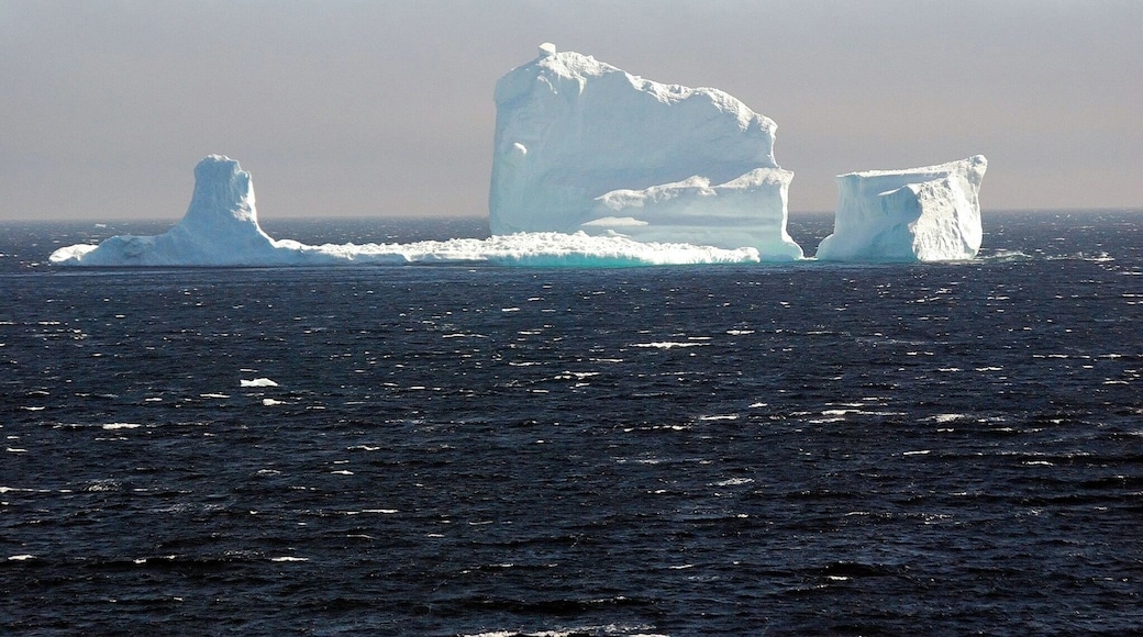 Amazing Iceberg off Ferryland, Newfoundland