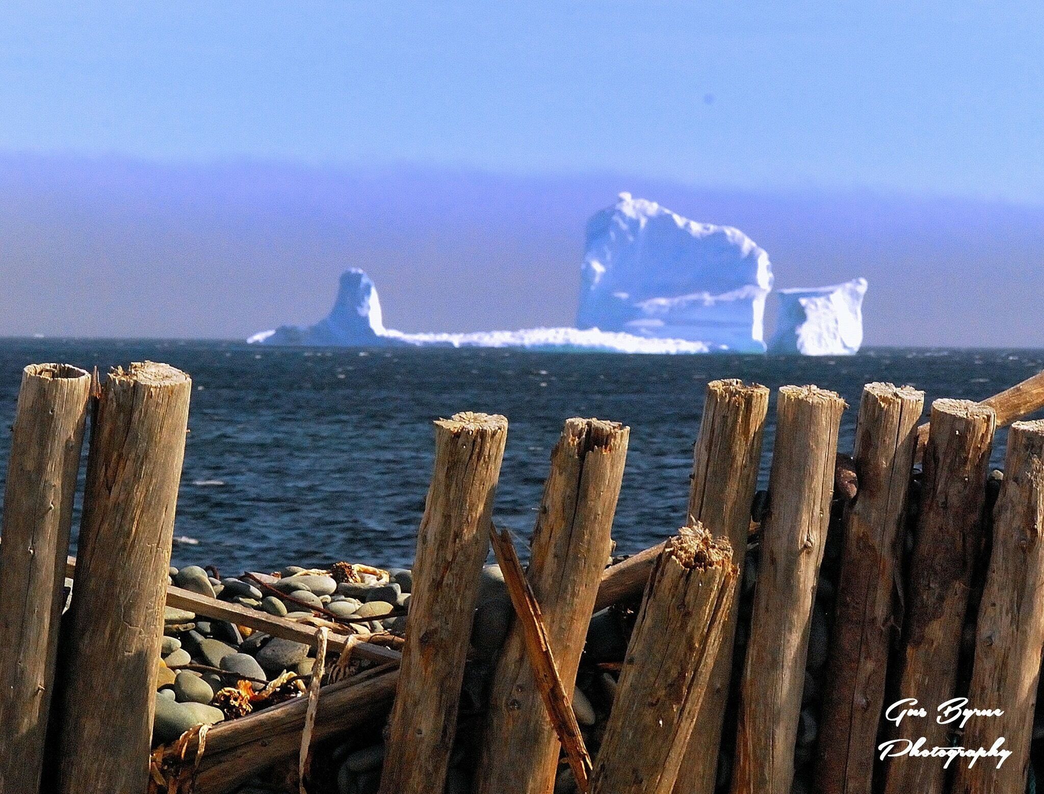 Another great shot by my husband Gus Byrne