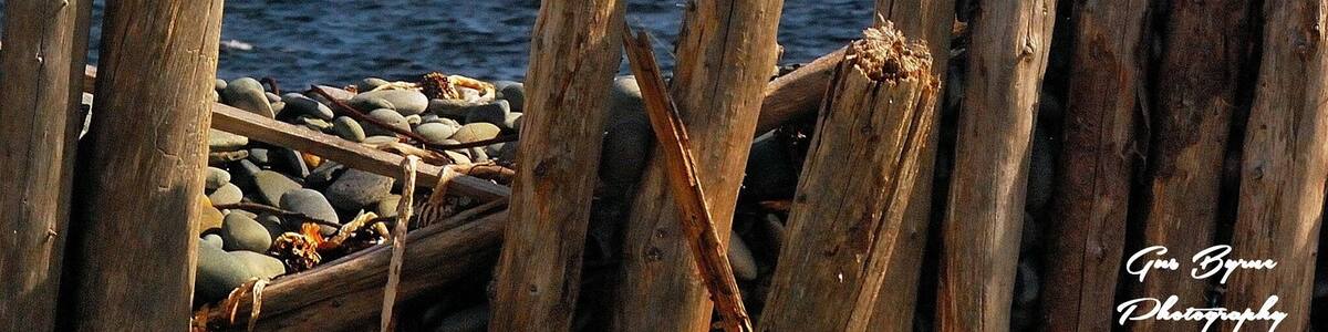 Another great shot by my husband Gus Byrne