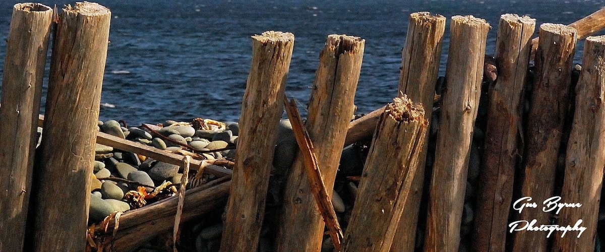 Another great shot by my husband Gus Byrne