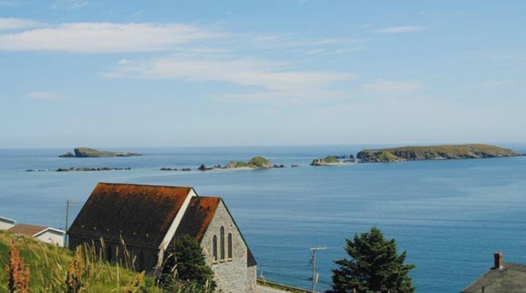 Ferryland, Newfoundland. My home province is an absolute dreamscape.