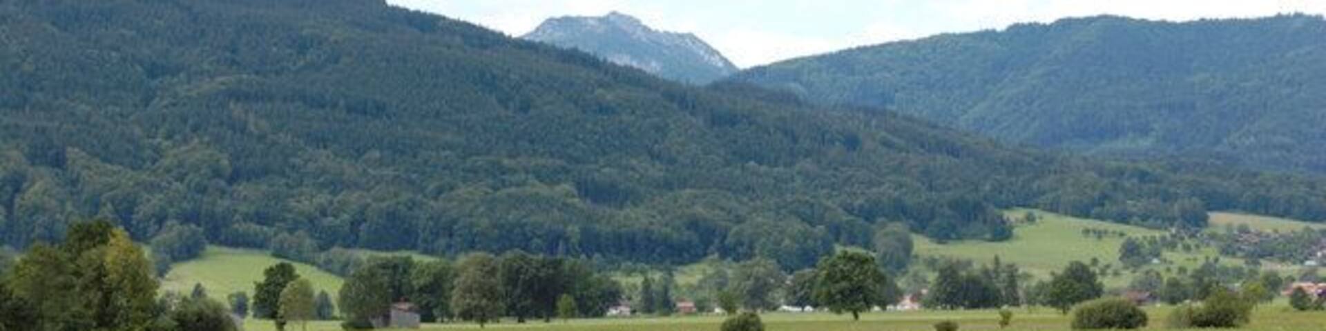 Wiese bei Kleinholzhausen