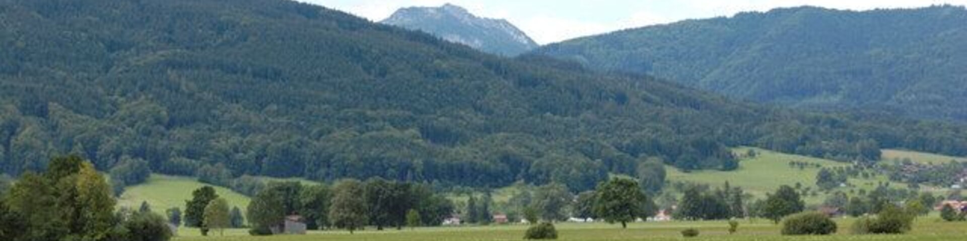 Wiese bei Kleinholzhausen