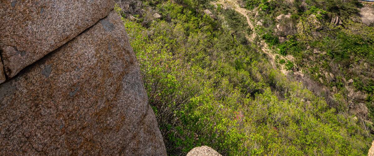 A rocky mountain landscape with prominent cliffs and dense green vegetation.
