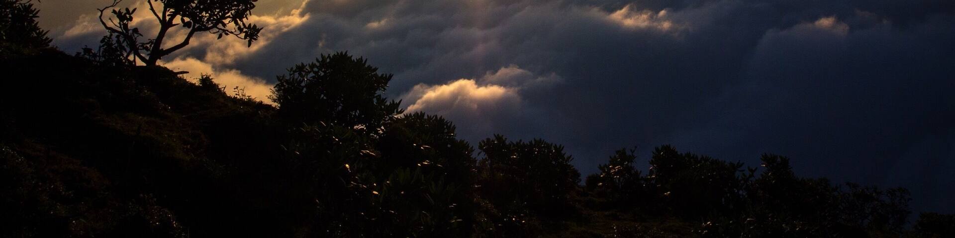 Take a dive into a rolling sea of clouds surrounded by a breathtaking panorama of mountains on Mt. Niubeishan in western Sichuan province, China. #weekendgetaway