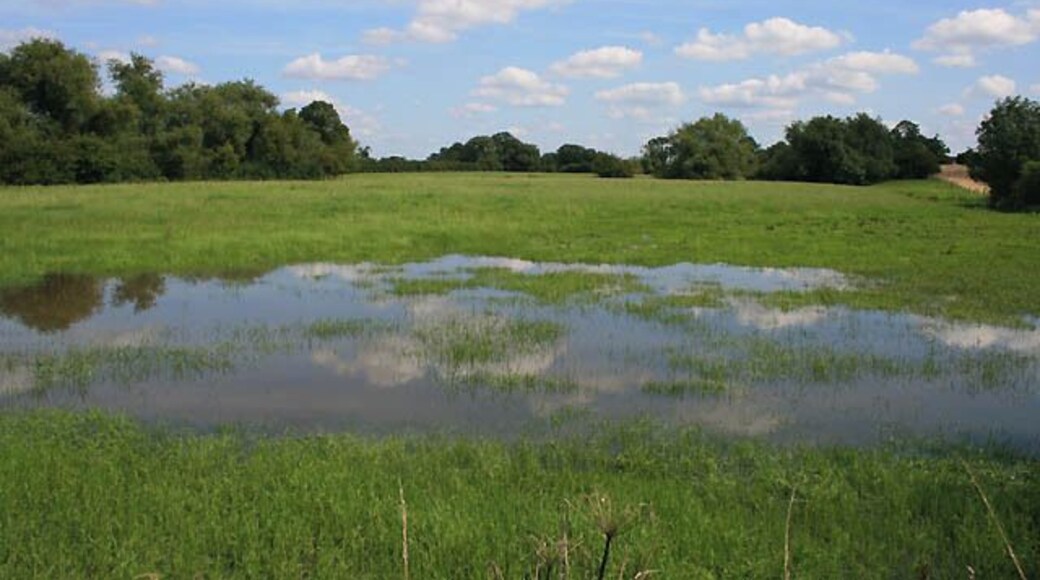 Flooded Field near Ratcliffe Culey July 2009 was very wet, as was the first week in August.