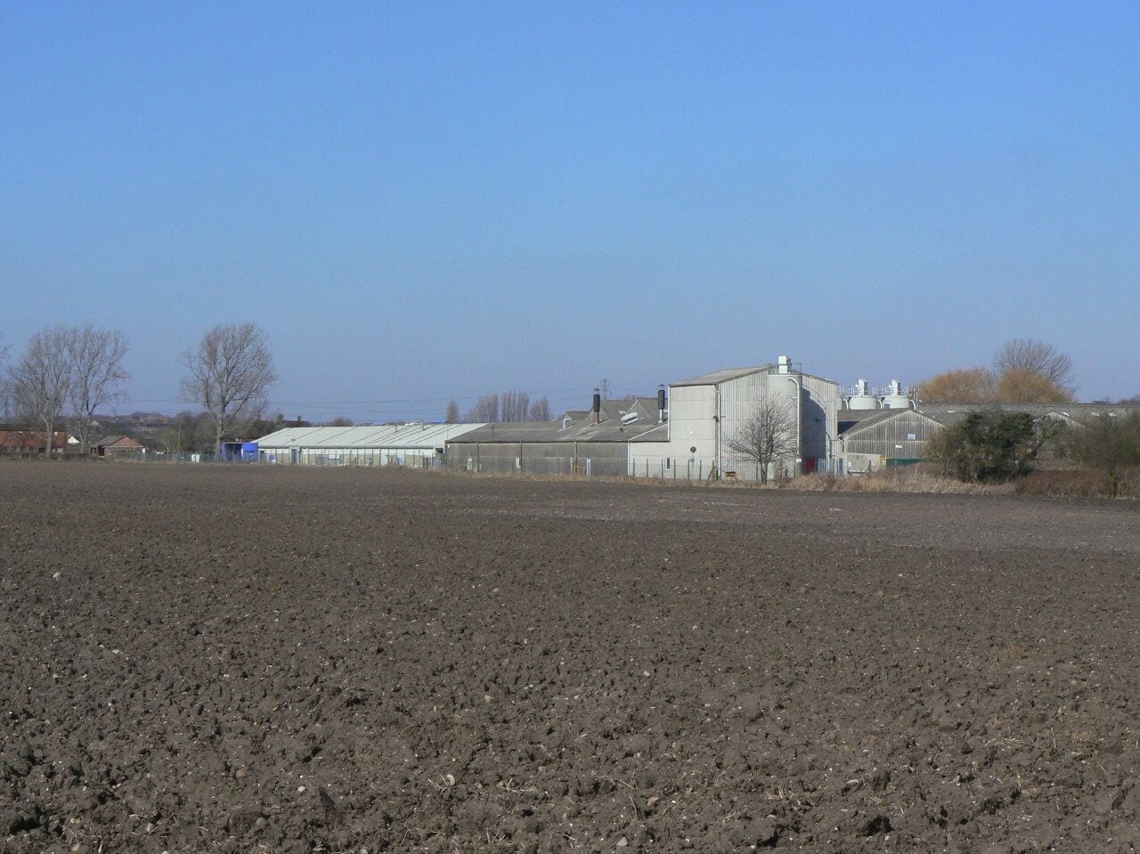 Gypsum works Seen from the footpath along the railway line. The black colour of the soil is an indication of how fertile it is.
