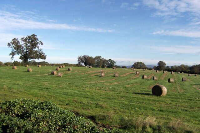 Between Sinderby and Pickhill Countryside looking east between these two villages, near the lower reaches of the Swale