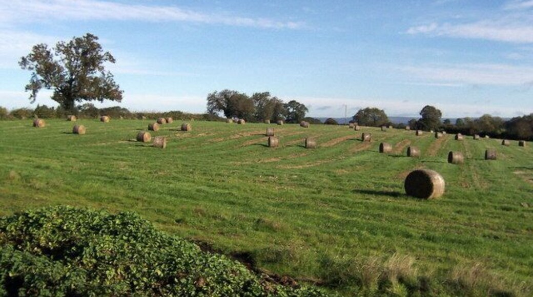 Between Sinderby and Pickhill Countryside looking east between these two villages, near the lower reaches of the Swale