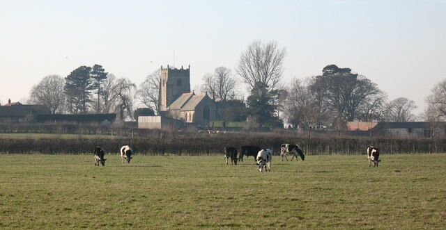 A rural landscape with a church and cows grazing in a field.
