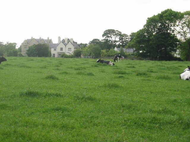Norley Hall. Norley Hall taken from the minor road looking across pasture land.